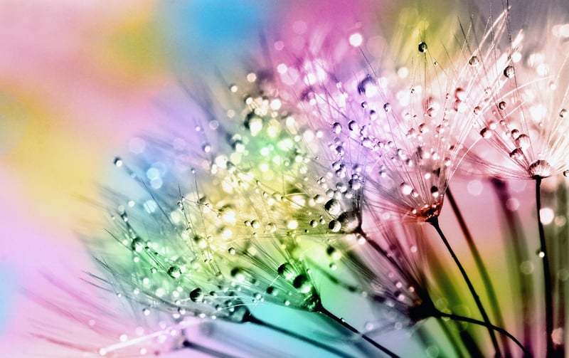 Whimsical Waters