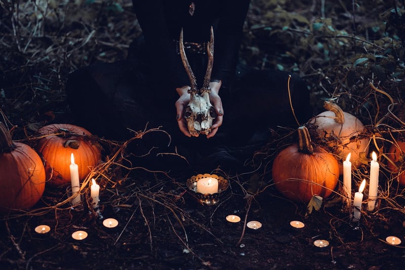 Harry Potter Festival